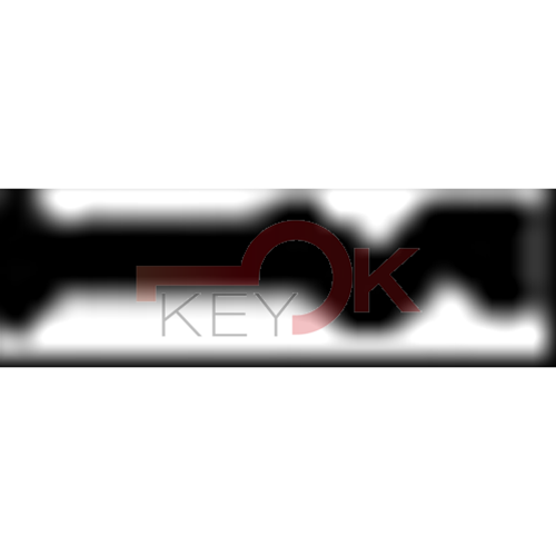 ERREBI - TV26R* - MULTIPROF. E PASS ESTERO - 05B-OTT