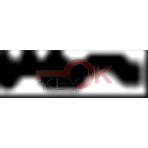 ERREBI - TV29R* - MULTIPROF. E PASS ESTERO - 05B-OTT