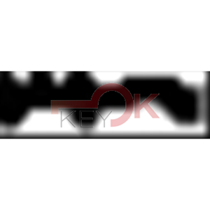 ERREBI - TV36R* - MULTIPROF. E PASS ESTERO - 05B-OTT