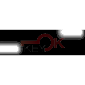 ERREBI - TY21P42 - PROFILI AUTO TESTA PLAST. - 20A-ACC