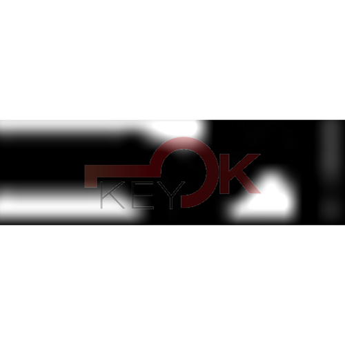 ERREBI - UN25S - MULTIPROF. E PASS ESTERO - 05B-ACC