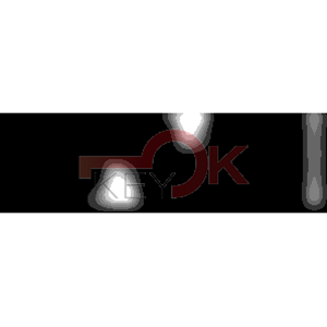 ERREBI - OHS1 - SPECIALI ESTERO - 06B-OTT