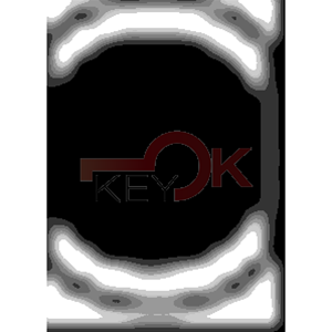 ERREBI - NE33* - AUTO SPECIALI NEIMAN - 18C-OTT