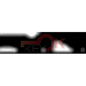 ERREBI - VC28RN - MULTIPROF. E PASS ESTERO - 05B-ACC