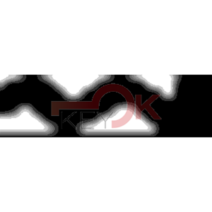 ERREBI - WI17R* - MULTIPROF. E PASS ESTERO - 05B-OTT