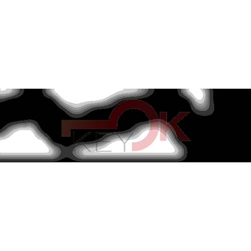 ERREBI - WI9* - MULTIPROF. E PASS ESTERO - 05B-OTT