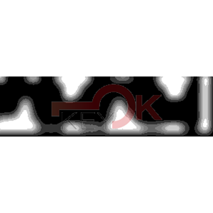 ERREBI - WI91R* - MULTIPROF. E PASS ESTERO - 05B-OTT