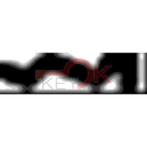 ERREBI - WI96R* - MULTIPROF. E PASS ESTERO - 05B-OTT