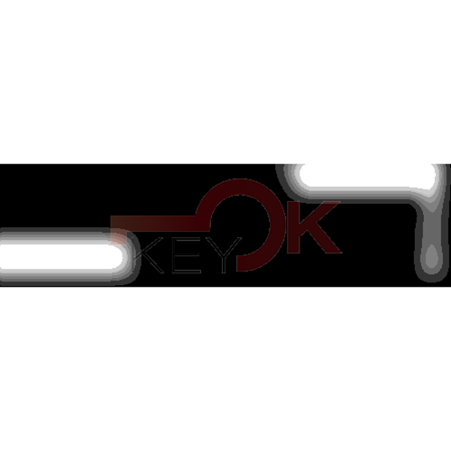 ERREBI - YA11R - GAMMA DI SERVIZIO AUTO - 17S-ACC