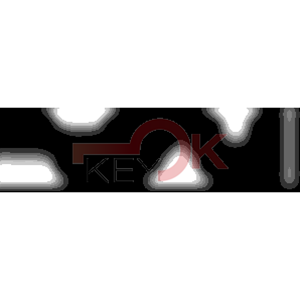 ERREBI - YBGAL* - MULTIPROF. E PASS ESTERO - 05B-OTT