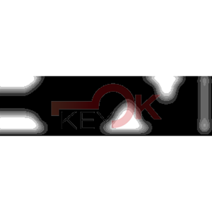 ERREBI - YBGGL* - MULTIPROF. E PASS ESTERO - 05B-OTT