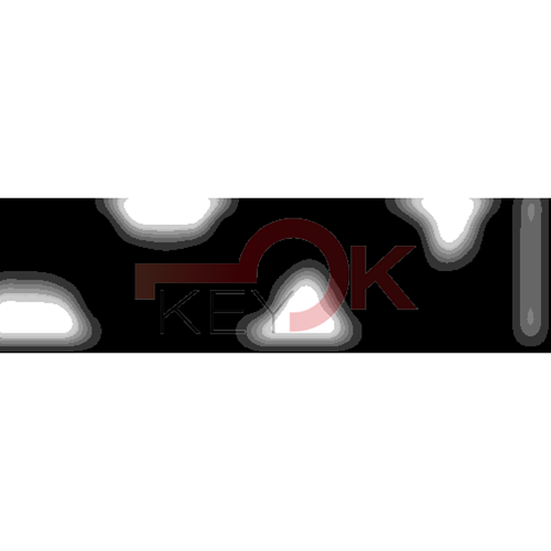 ERREBI - YBLAL* - MULTIPROF. E PASS ESTERO - 05B-OTT