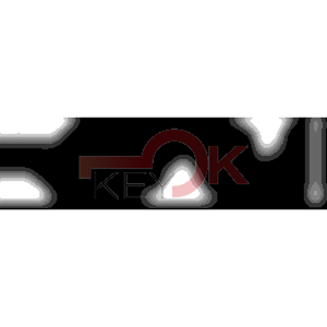 ERREBI - YBLG* - MULTIPROF. E PASS ESTERO - 05B-OTT