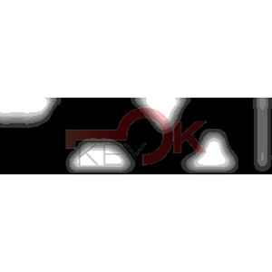 ERREBI - YBVC* - MULTIPROF. E PASS ESTERO - 05B-OTT