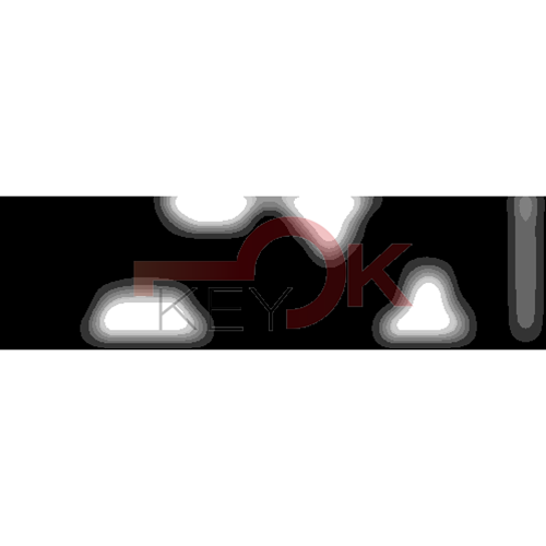 ERREBI - YBVFL* - MULTIPROF. E PASS ESTERO - 05B-OTT