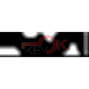 ERREBI - YBYD* - MULTIPROF. E PASS ESTERO - 05B-OTT