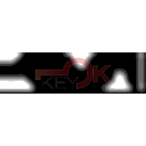 ERREBI - YBYG* - MULTIPROF. E PASS ESTERO - 05B-OTT