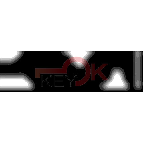 ERREBI - YBYGL* - MULTIPROF. E PASS ESTERO - 05B-OTT