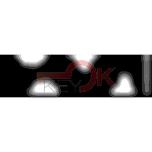 ERREBI - YBYHL* - MULTIPROF. E PASS ESTERO - 05B-OTT