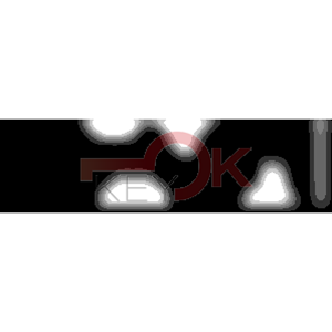 ERREBI - YBYK* - MULTIPROF. E PASS ESTERO - 05B-OTT