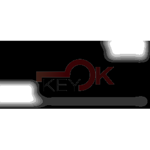 ERREBI - YM22P15* - AUTO SPECIALI ACCIAIO-OTTONE TESTA PLAST. - 21B-OTT