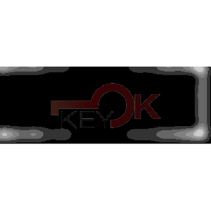 ERREBI - PE1P19* - AUTO SPECIALI ACCIAIO-OTTONE TESTA PLAST. - 21B-OTT