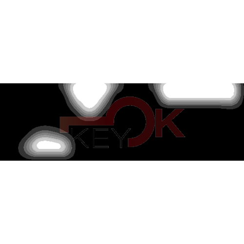 ERREBI - YU9R - AUTO SPECIALI U.S.A (18F-ACC)