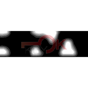 ERREBI - PH10R - MULTIPROF. E PASS ESTERO - 05B-ACC