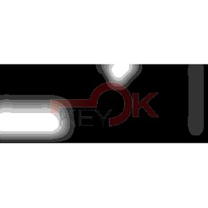 ERREBI - ZA4R* - PROFILI AUTO - 17A-OTT