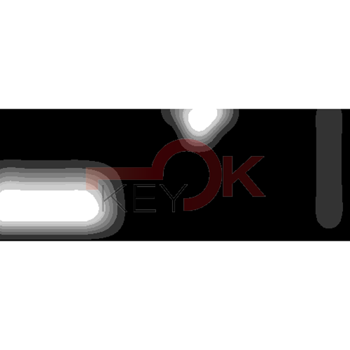 ERREBI - ZA4R* - PROFILI AUTO - 17A-OTT