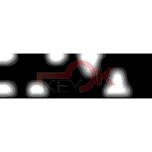 ERREBI - PH11R - MULTIPROF. E PASS ESTERO - 05B-ACC