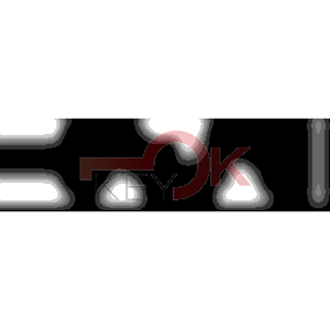 ERREBI - ZE100A* - MULTIPROF. E PASS ESTERO - 05B-OTT