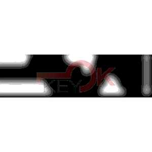 ERREBI - ZE100B* - MULTIPROF. E PASS ESTERO - 05B-OTT