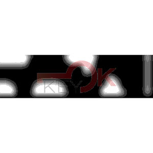 ERREBI - ZE100C* - MULTIPROF. E PASS ESTERO - 05B-OTT