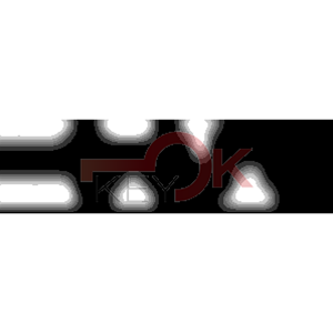 ERREBI - ZE103Z* - MULTIPROF. E PASS ESTERO - 05B-OTT