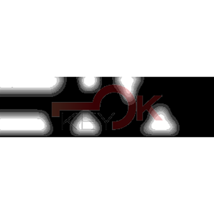 ERREBI - ZE106Z* - MULTIPROF. E PASS ESTERO - 05B-OTT