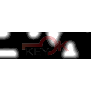 ERREBI - PH12R - MULTIPROF. E PASS ESTERO - 05B-ACC