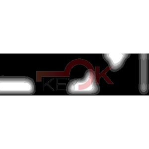 ERREBI - ZE10Z* - MULTIPROF. E PASS ESTERO - 05B-OTT