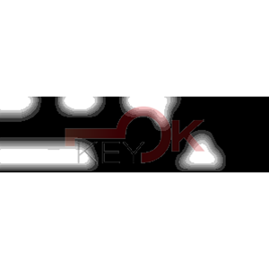 ERREBI - ZE113Z* - MULTIPROF. E PASS ESTERO - 05B-OTT