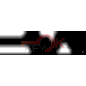 ERREBI - ZE117Z* - MULTIPROF. E PASS ESTERO - 05B-OTT