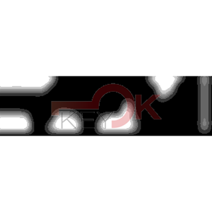 ERREBI - ZE16Z* - MULTIPROF. E PASS ESTERO - 05B-OTT