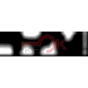 ERREBI - ZE19Z* - MULTIPROF. E PASS ESTERO - 05B-OTT