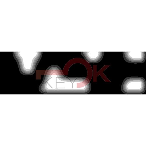 ERREBI - PH16R - MULTIPROF. E PASS ESTERO - 05B-ACC