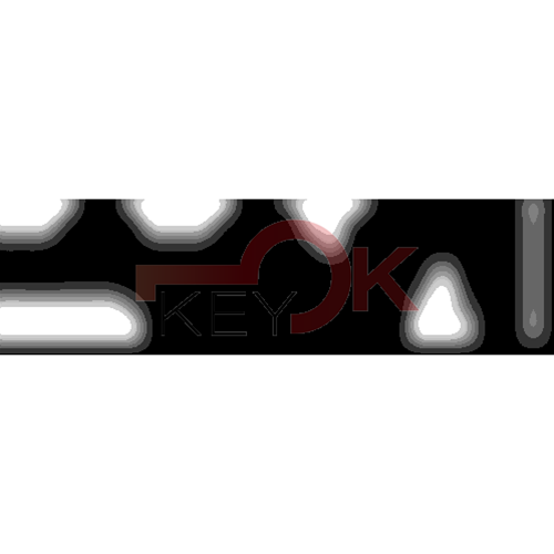 ERREBI - ZE40C* - MULTIPROF. E PASS ESTERO - 05B-OTT