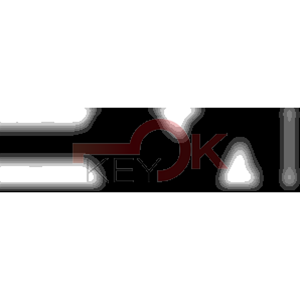 ERREBI - ZE41Z* - MULTIPROF. E PASS ESTERO - 05B-OTT