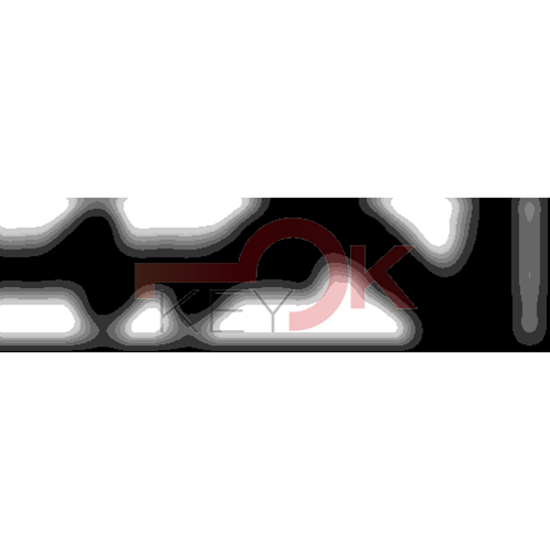 ERREBI - ZE431* - MULTIPROF. E PASS ESTERO - 05B-OTT