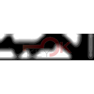 ERREBI - ZE432* - MULTIPROF. E PASS ESTERO - 05B-OTT