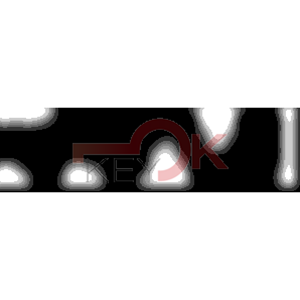 ERREBI - PH18 - MULTIPROF. E PASS ESTERO - 05B-ACC