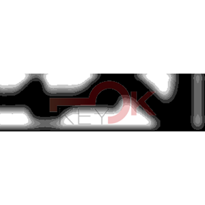 ERREBI - ZE439* - MULTIPROF. E PASS ESTERO - 05B-OTT