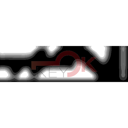 ERREBI - ZE441* - MULTIPROF. E PASS ESTERO - 05B-OTT